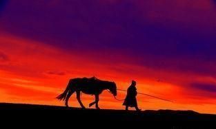 村容村貌怎么描述，谁手机上有拍的农村干净的村容村貌？图6