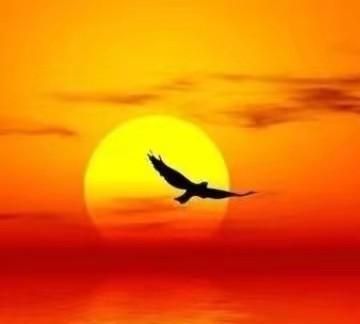 村容村貌怎么描述，谁手机上有拍的农村干净的村容村貌？图7