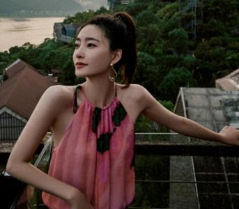 ​王丽坤老公骗取上亿元，嫖娼花几百万，竟牵扯出不止一位女明星？