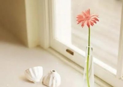 ​捡到乌龟是好事还是坏事路上捡到乌龟好不好能带回家吗？