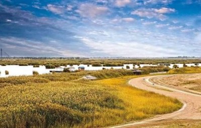 ​中国不爱生孩子的三大省，人口一个比一个少，有的不如城市人多