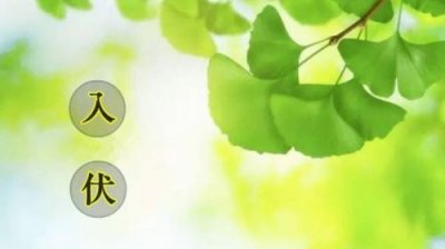 ​什么时候入伏天2025(什么时候入伏多少天)