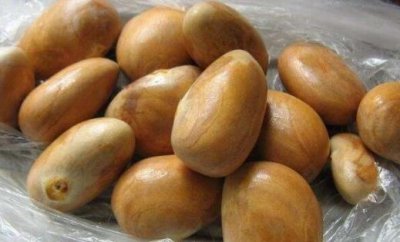 ​菠萝蜜核没煮熟有毒,菠萝蜜的核能生吃吃吗?