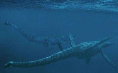 ​探讨天池水怪是什么动物？真正身份：是蛇颈龙还是未知生物