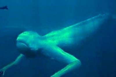 ​对于亚特兰蒂斯在哪一直众说纷纭讨论不断