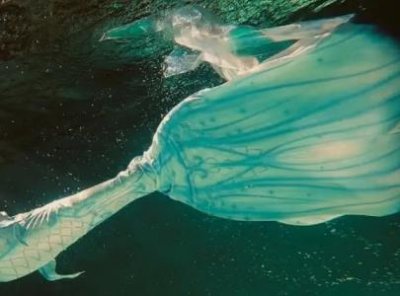 ​眉毛淡的女人命运好不好？有什么影响