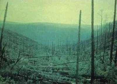 ​古董店怪事频出真龙之子和绝世美女寻找真相踏上探险之旅