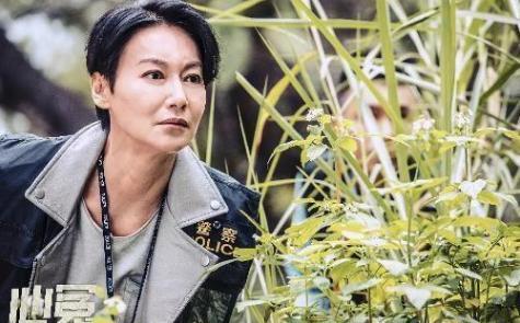 《心冤》剧情出彩，主演惠英红演技在线，为什么还是不被看好？