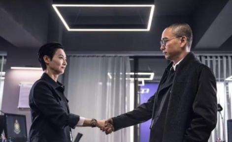 《心冤》剧情出彩，主演惠英红演技在线，为什么还是不被看好？