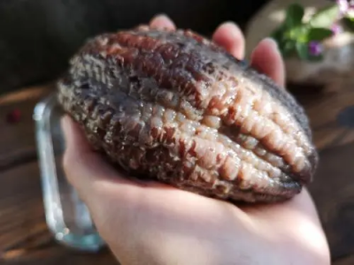 ​硬度不够吃什么补肾壮阳最快速