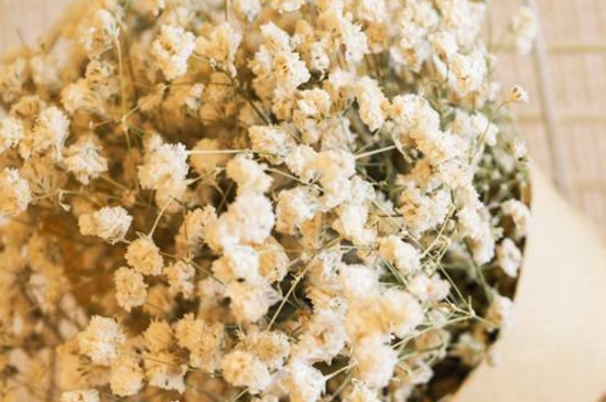 满天星干花怎样插花瓶（图）(图4)