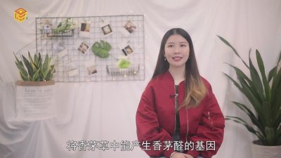 ​驱蚊草都有哪些