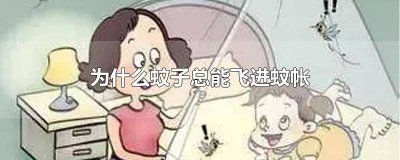 ​为什么蚊子总能飞进蚊帐上 为什么蚊子会飞进蚊帐里
