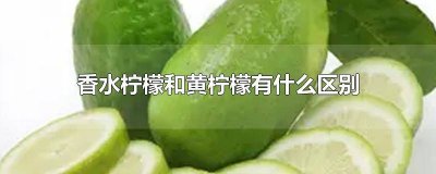 ​香水柠檬还是黄柠檬好 香水柠檬与黄柠檬功效的区别