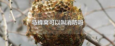 ​消防不负责处理马蜂窝 消防队有义务去灭马蜂窝吗