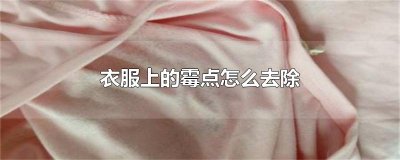 ​衣服上的霉点怎么去除