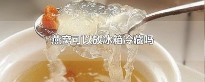 ​燕窝可以放冰箱冷藏吗