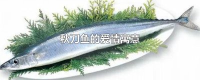 ​秋刀鱼的爱情寓意