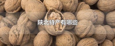 ​陕北特产有哪些