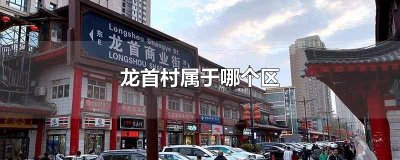 ​龙首村属于哪个区