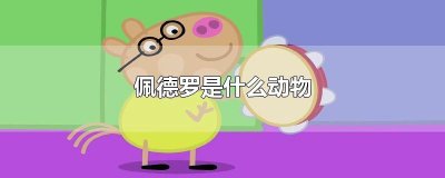 ​佩德罗是什么动物