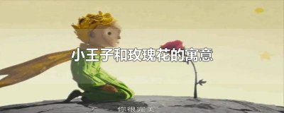 ​小王子和他的玫瑰花寓意 小王子的玫瑰的寓意