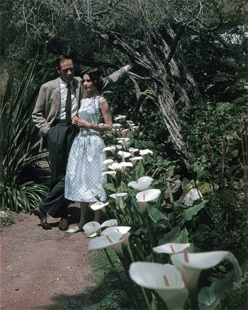 娱乐老照片：奥黛丽赫本与丈夫梅尔费勒