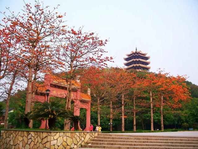 东莞风景好的旅游景点排名榜前十（东莞最具人气景区）(14)