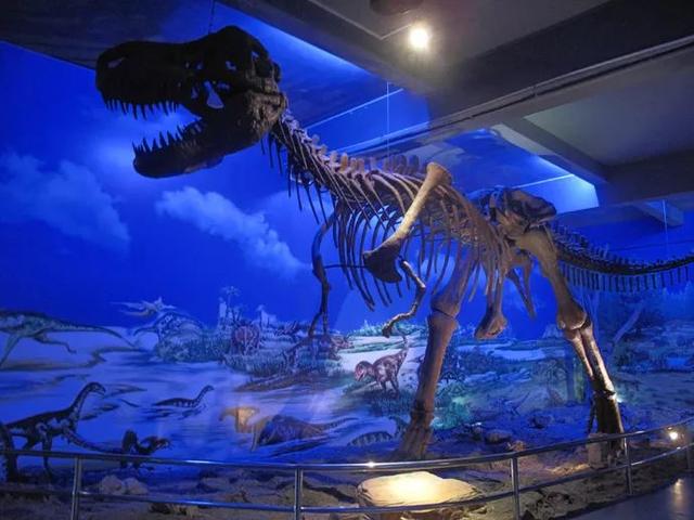 东莞风景好的旅游景点排名榜前十（东莞最具人气景区）(7)