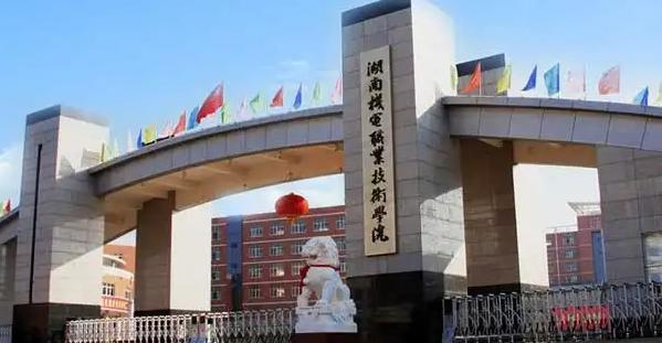 湖南最好的高等专科院校有哪些（湖南专科院校师资最强的十所院校推荐）(5)