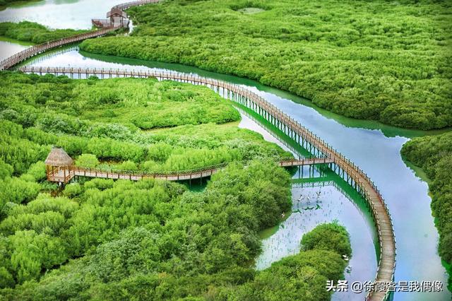 海南自由行景点攻略(最全海南旅游景点-环岛游必备)(13)