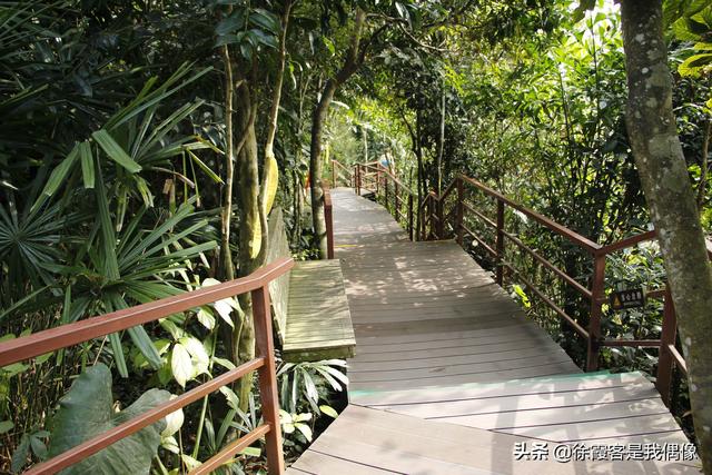 海南自由行景点攻略(最全海南旅游景点-环岛游必备)(5)