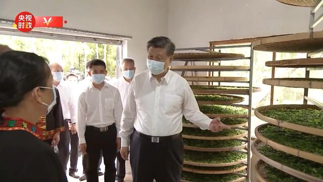 海南品牌茶叶（海南喜迎最强茶叶）(2)