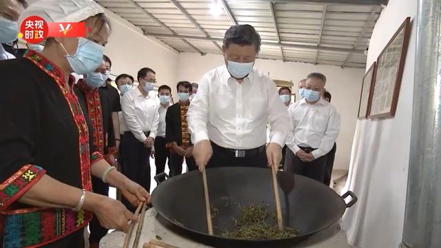 海南品牌茶叶（海南喜迎最强茶叶）(3)