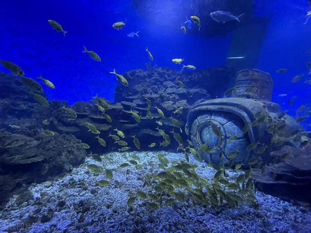 武汉最值得去的景点推荐（武汉景点排行榜）