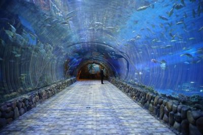 ​武汉最值得去的景点推荐（武汉景点排行榜）