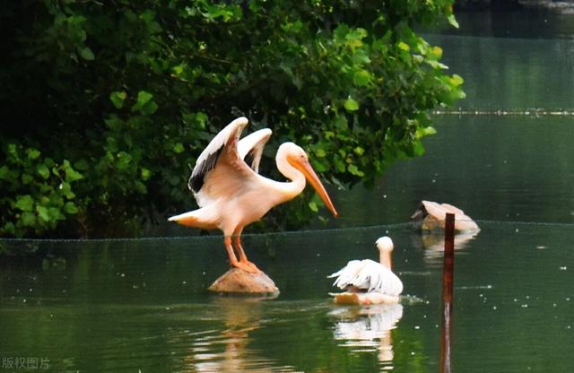 武汉最值得去的景点推荐（武汉景点排行榜）