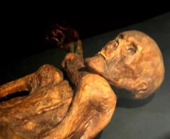 最可怕的死尸(世界上死得最惨的死尸)