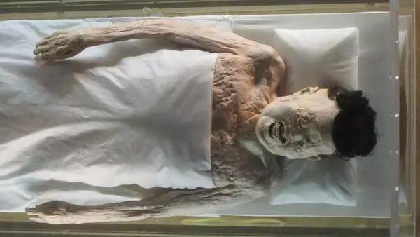 最可怕的死尸(世界上死得最惨的死尸)