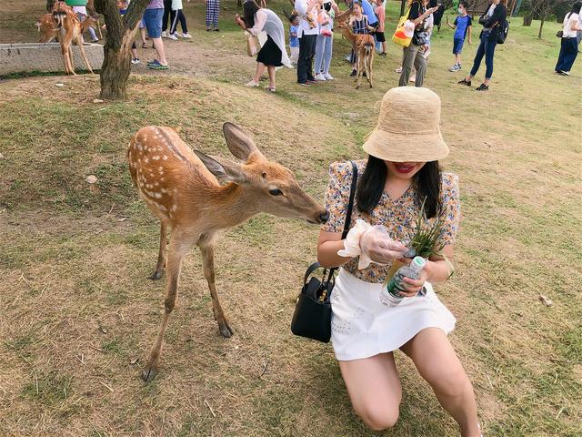 南京旅游中山陵攻略图(南京旅游最全攻略之)(9)