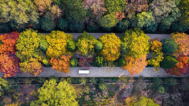 南京旅游中山陵攻略图(南京旅游最全攻略之)(6)