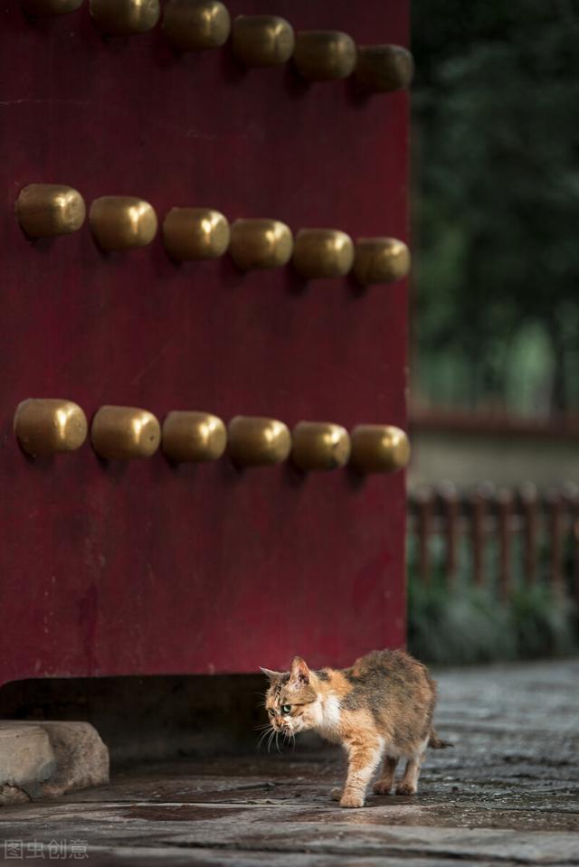 南京旅游中山陵攻略图(南京旅游最全攻略之)(8)