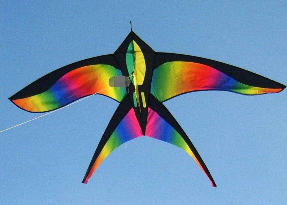 飞1000米的风筝要多大(风筝最高能飞多高)