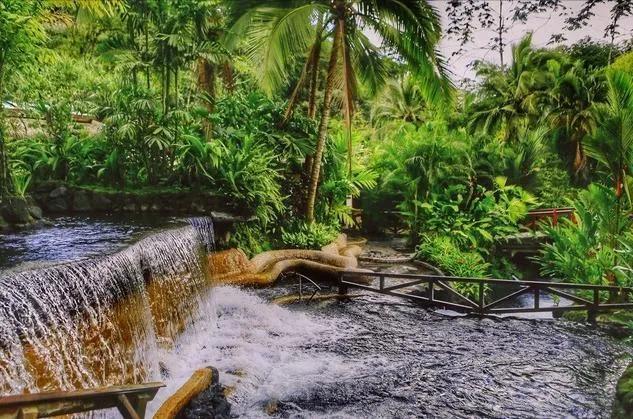 哥斯达黎加是南美洲还是北美洲(哥斯达黎加你所不知道的国家冷知识)(29)