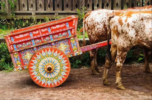 哥斯达黎加是南美洲还是北美洲(哥斯达黎加你所不知道的国家冷知识)(10)