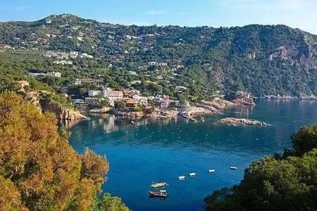 哥斯达黎加是南美洲还是北美洲(哥斯达黎加你所不知道的国家冷知识)(3)