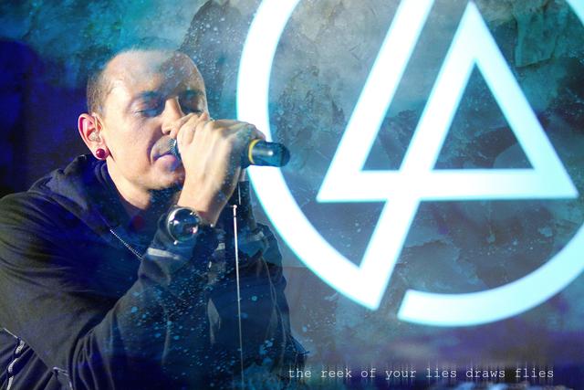 林肯公园上海开过几次演唱会(有多少人在哭着听林肯公园)(19)