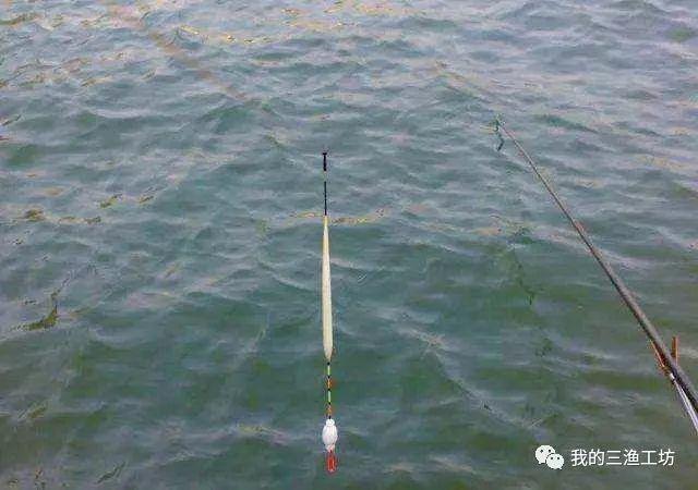 钓鱼方法与技巧入门（钓鱼技法13条都是精华总结）(1)