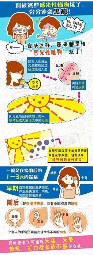 紫外线过敏治疗方法用什么药膏?紫外线过敏治疗方法晒太阳会过敏吗?-第1张图片-