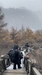 ​真的！石家庄这里下雪啦！